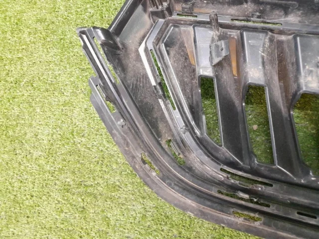 Решетка радиатора для Skoda Rapid II 2020+ на фотографиях