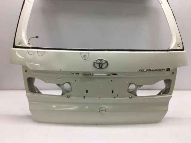 Двери для Toyota Alphard H10 2002-2008 на фотографиях