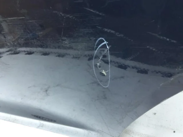 Дверь задняя левая для Hyundai Elantra AD 2015-2019 на фотографиях