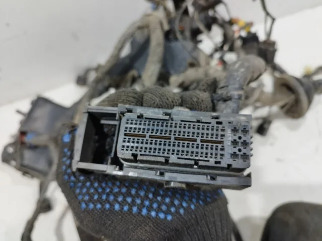 Проводка моторного отсека для Hyundai Solaris 1 рестайлинг 2014-2017 на фотографиях