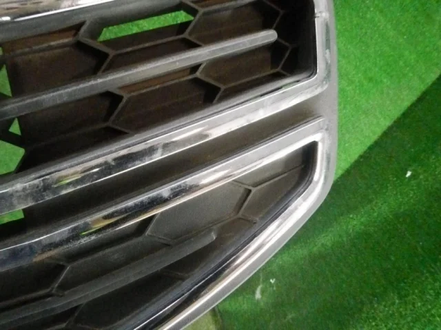 Решетка радиатора для Ford EcoSport 2012-2019 на фотографиях