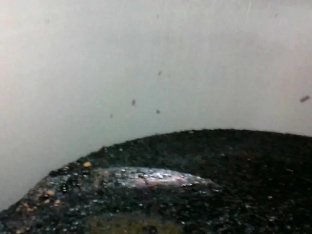 Продажа двигателя 112.911