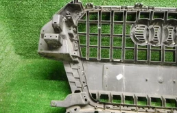 Решетка радиатора для Audi Q3 2011 года на фотографиях