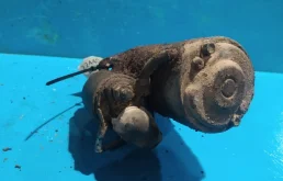 Двигатель без навесного для Mitsubishi Pajero 2012 года на фотографиях