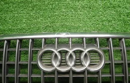 Решетка радиатора для Audi Q3 2011 года на фотографиях
