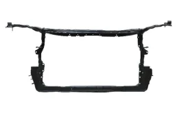 Панель радиатора (телевизор) для Lexus ES 2018 года на фотографиях