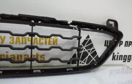 Решетка радиатора для BMW X6 2016 года на фотографиях