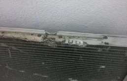 Радиатор охлаждения ДВС для BMW 3er 2018 года на фотографиях