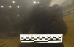 Капот для BMW 7er 2001 года на фотографиях