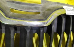 Решетка переднего бампера для Skoda Rapid 2015 года на фотографиях