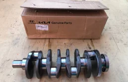 Коленвал для Kia Carnival 2020 года на фотографиях