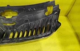 Решетка переднего бампера для Skoda Rapid 2015 года на фотографиях