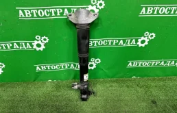 Амортизатор задний правый для Lexus ES XV70 2018+