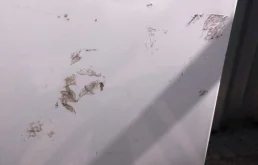 Дверь передняя левая для Toyota Corolla 2006 года на фотографиях