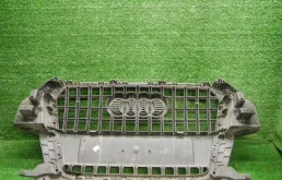 Решетка радиатора для Audi Q3 2011 года на фотографиях