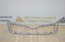 Молдинг решетки радиатора для Skoda Rapid на фотографиях