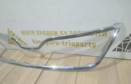 Молдинг решетки радиатора для Skoda Rapid на фотографиях