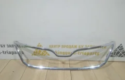 Молдинг решетки радиатора для Skoda Rapid на фотографиях