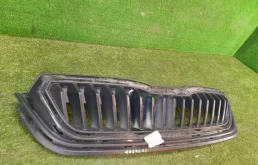 Решетка радиатора для Skoda Rapid 2021 года на фотографиях