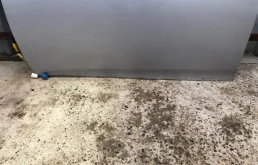 Дверь передняя левая для Toyota Corolla 2012 года на фотографиях