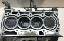 Блок двигателя Nissan Qashqai,  X-Trail