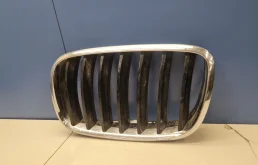 Решетка радиатора левая для BMW X5 E70 2006-2013