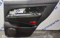 Обшивка двери SsangYong Rexton 2008 Y250