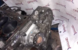 Двигатель без навесного для Kia Carnival 2007 года на фотографиях