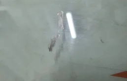 Стекло двери переднее левое для Infiniti QX 2020 года на фотографиях