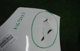 Бампер для Kia Picanto 2016 года на фотографиях