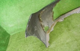 Бампер для Toyota Corolla 2017 года на фотографиях