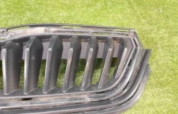 Решетка радиатора для Skoda Rapid 2021 года на фотографиях
