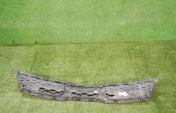 Решетка радиатора для Kia Rio X line 2021 года на фотографиях