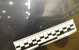 Капот для BMW 7er 2001 года на фотографиях