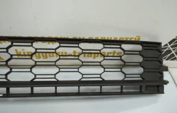 Решетка переднего бампера для Skoda Rapid 2019 года на фотографиях