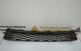 Решетка переднего бампера для Skoda Rapid 2019 года на фотографиях