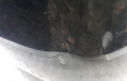 Крылья для Mazda CX 7 на фотографиях