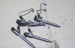 Форсунка топливная для Kia Carnival на фотографиях