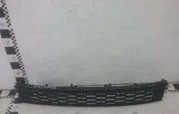 Решетка переднего бампера для Skoda Rapid 2019 года на фотографиях