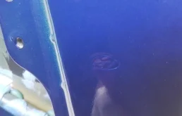 Дверь задняя левая для Hyundai Elantra 2024 года на фотографиях