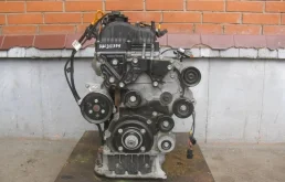 Двигатель без навесного для Kia Carnival 2016 года на фотографиях