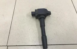 Катушка зажигания Duster 2012>