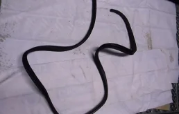 Уплотнитель (внутри) Focus II 2005-2008