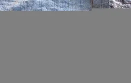 петли двери MAZDA PREMACY CREW LFVD F C23559210, F15158210