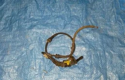 датчик abs VOLKSWAGEN PASSAT 3C2 BVY F 7H0927804