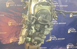 двигатель HONDA CIVIC EU1 D15B - 11000-PLA-800