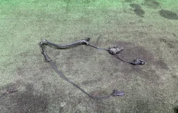 Датчик ABS передний левый для Toyota Highlander XU50 2013-2017