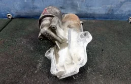 Стартер Ford Focus 2 2008 1478129 1.8 QQDB