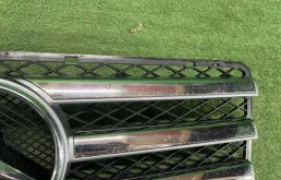 Решетка радиатора для Mercedes-Benz G class на фотографиях