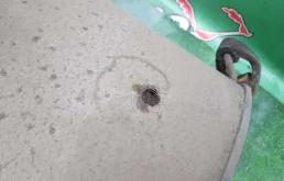 Глушитель основной для BMW 3er на фотографиях